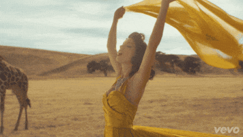 taylor swift animated gif GIF by Vevo