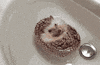float hog GIF