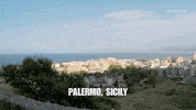 viceland GIF by HUANG'S WORLD