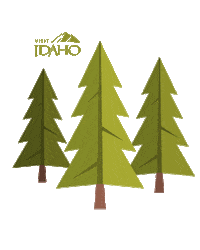 Camping Pine Trees Sticker by VisitIdaho