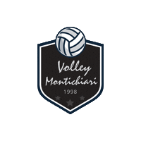 VolleyMontichiari volley montichiari fipavbrescia volleymontichiari Sticker