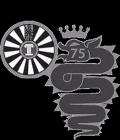 Gestore_Materiali_Nazionale rt75 round table milano 5 giornate roundtablemilano5giornate GIF