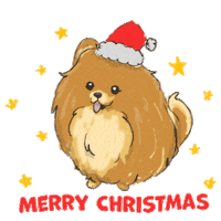 Happy Merry Christmas Sticker