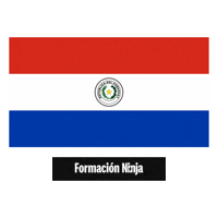 Flag Bandera Sticker by Formación Ninja