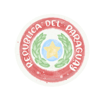 laralapy bandera paraguay republica albirroja Sticker