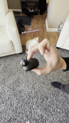 Liamb2223  GIF