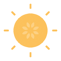 Summer Shining Sticker by fitvia