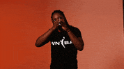 Celebrate Chelsea Gray GIF by WNBA