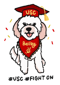 Bailey Sticker