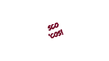 Santa Clara Broncos Sticker by SCU Athletics