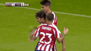 Group Hug Football GIF by Atlético de Madrid