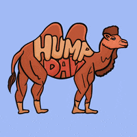 Wednesday Morning GIF by JellaCreative