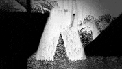 Sub Pop Metz GIF by Sub Pop Records