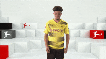 happy borussia dortmund GIF by Bundesliga