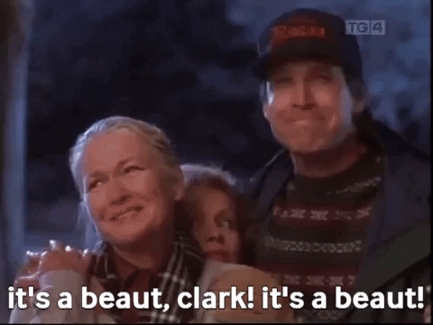 giphygifmaker clark national lampoons griswald its a beaut GIF