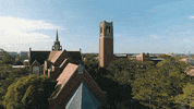 good morning GIF by University of Florida