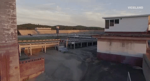 viceland GIF by ABANDONED