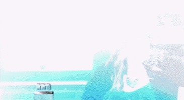 GIF by The Maury Show