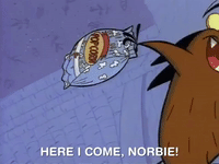 angry beavers nicksplat GIF