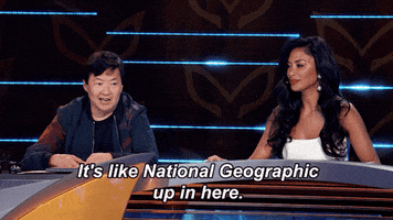 GIF by The Masked Singer