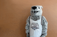 Wolf Pack Thumbs Up GIF by Cardinal Stritch University