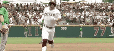 Notre Dame Baseball GIF by NCAA Championships