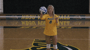Volleyball Bison GIF by NDSU Athletics