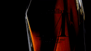 single malt whiskey GIF by The Macallan