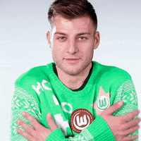 freezing robin knoche GIF by VfL Wolfsburg