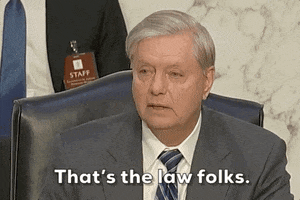 Lindsey Graham GIF by GIPHY News
