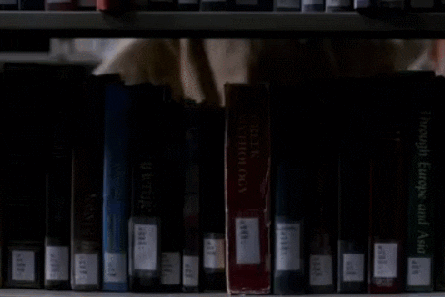 books reading GIF