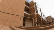 Happy Skate GIF by deladeso
