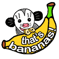Vegan What Sticker