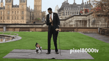 GIF by Giffffr