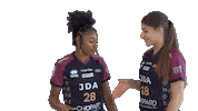 Handball Handshake Sticker by JDA Dijon Basket