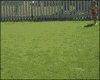 fail slip n slide GIF