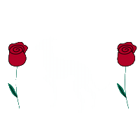 Valentines Day Rose Sticker