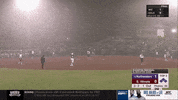 ncaasports ncaa softball wildcats wcws GIF