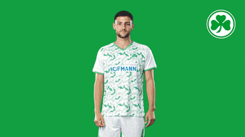 Celebrate Three Points GIF by SpVgg Greuther Fürth