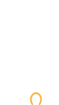 Niagaraequissage horse horseshoe hoof equissage Sticker