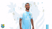Cfc Osso GIF by ChemnitzerFC
