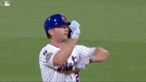 Celebrate Polar Bear GIF by New York Mets