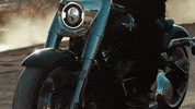 Ride GIF by Harley-Davidson