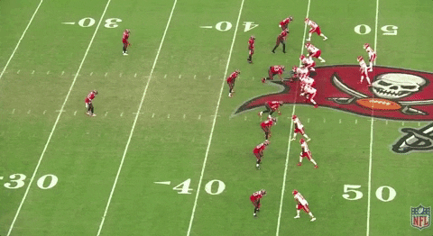 taccido giphygifgrabber GIF