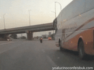 GifVif giphyupload ghost rider GIF