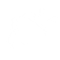 NotoriousPooch new post newpost graffiti Sticker