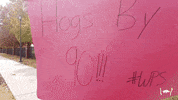 Eric Musselman Hogs GIF by Arkansas Razorbacks