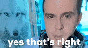 Yes Thats Right GIF by Luke Guy