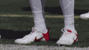 Stefon Diggs Football GIF by New England Patriots