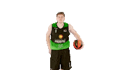 Liga Endesa Basketball Sticker by ACB